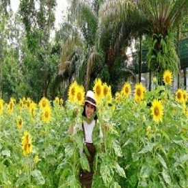 Cái Thị Thảo Trinh